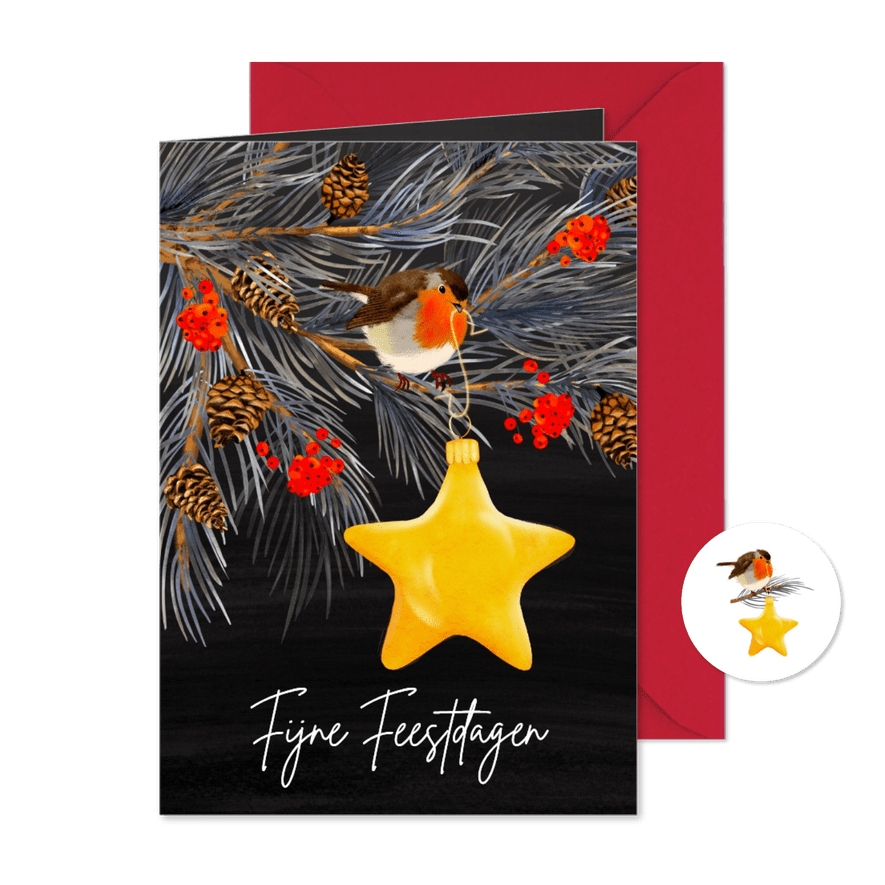 Kerstkaart met roodborstje en kerstster - Kaartimpressie