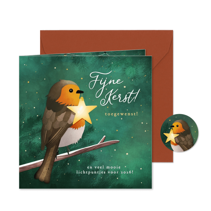 Kerstkaart met roodborstje op tak met ster lichtje - Kaartimpressie