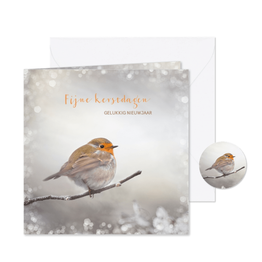 Kerstkaart met winter-roodborst - Kaartimpressie