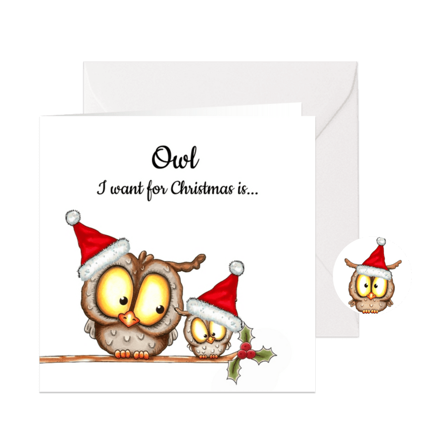 Kerstkaart 'owl I want for Christmas' - Kaartimpressie