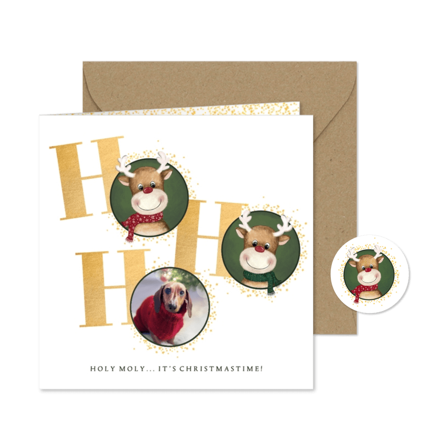 Kerstkaart rendier en foto Holy Moly it’s Christmastime - Kaartimpressie