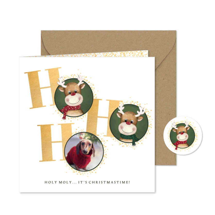 Kerstkaart rendier en foto Holy Moly it’s Christmastime - Kaartimpressie