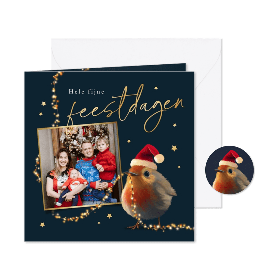 Kerstkaart roodborstje kerstlampjes sterretjes goud foto - Kaartimpressie