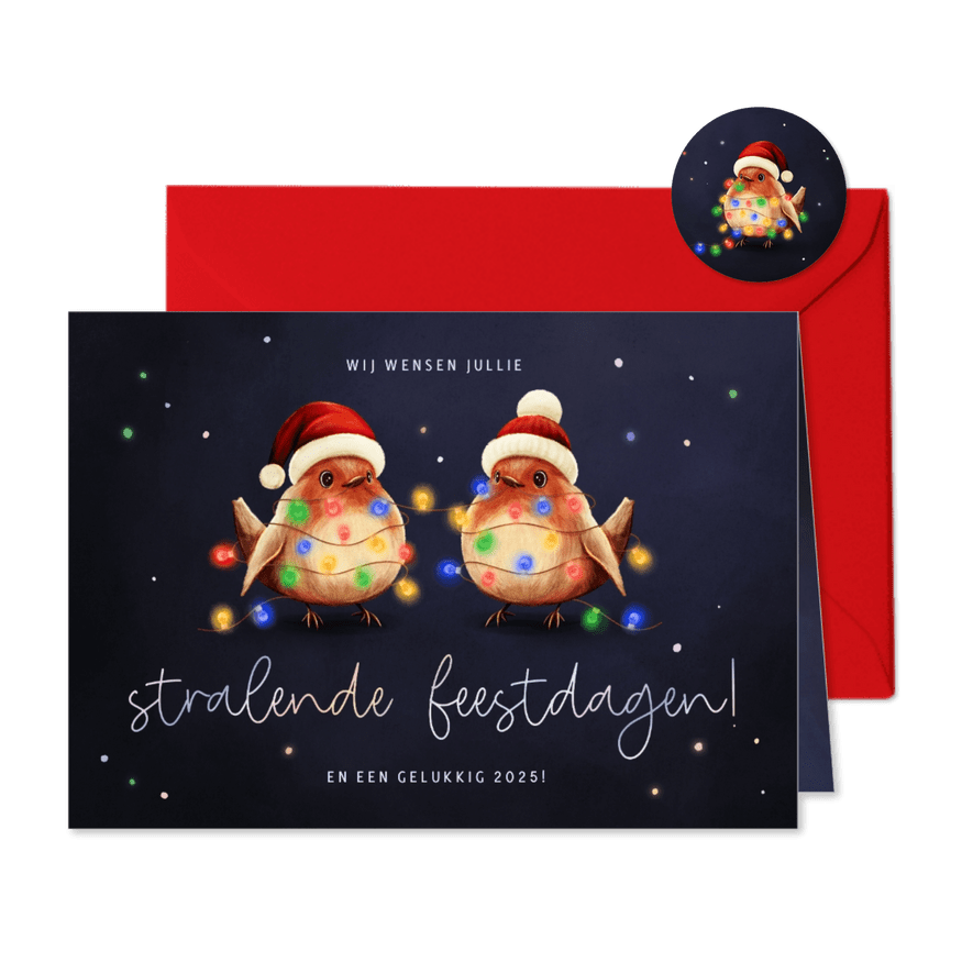 Kerstkaart roodborstjes met lampjes stralende feestdagen - Kaartimpressie