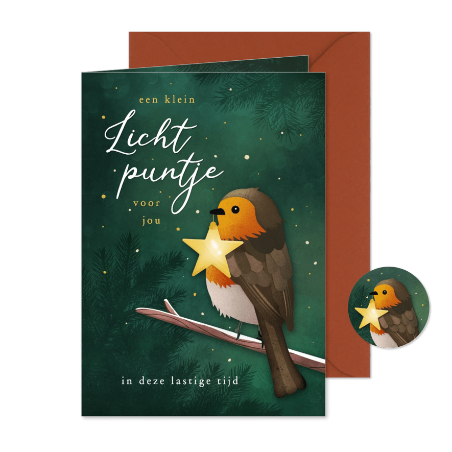  Kerstkaart sterkte lichtpuntje ster met roodborstje - Kaartimpressie