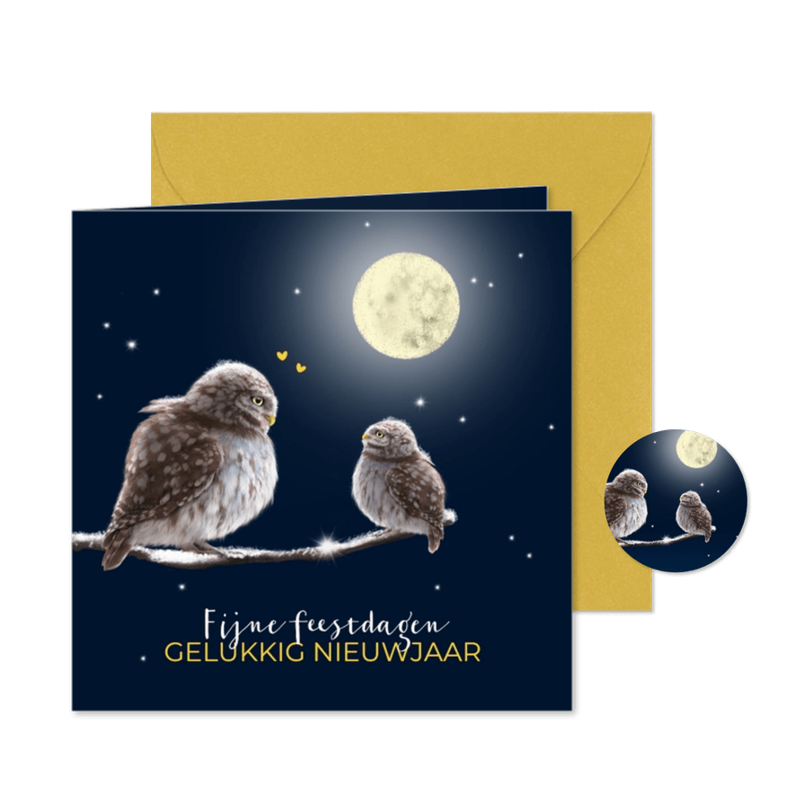 Kerstkaart uilen met maan - Kaartimpressie
