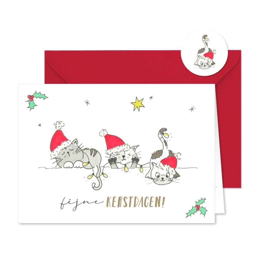 Kerstkaart - Vrolijke katten met kerstelementen - Kaartimpressie