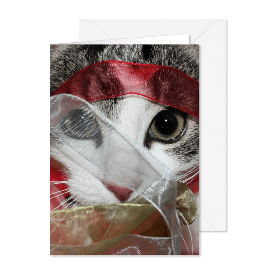 Kerstkaarten kat met lintjes - Kaartimpressie