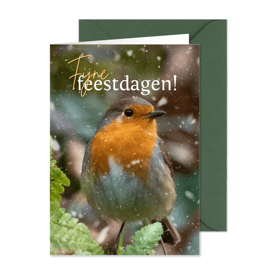 Kerstkaartje met roodborstje in de sneeuw - Kaartimpressie