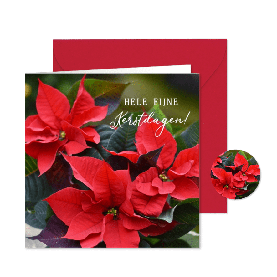 Klassieke vierkante kerstkaart met een foto van kerstster - Kaartimpressie