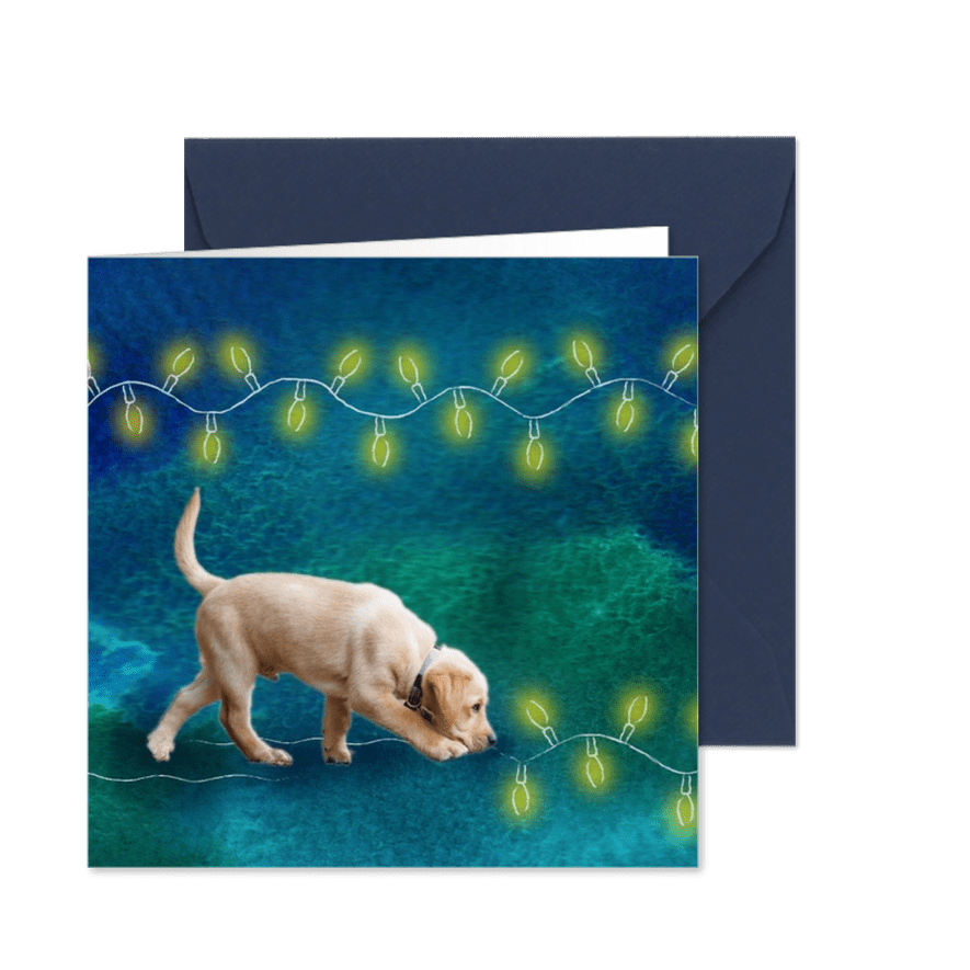 KNGF bedankkaart puppy en lichtjes - Kaartimpressie