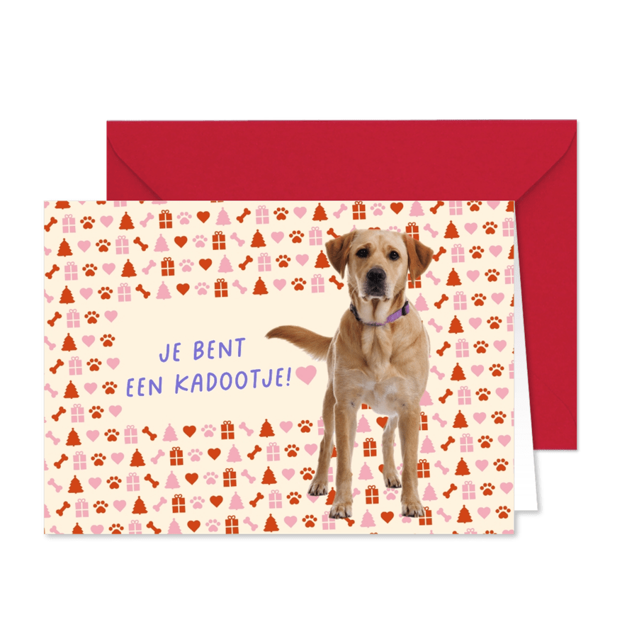 KNGF kerst en bedankkaart met staande hond - Kaartimpressie