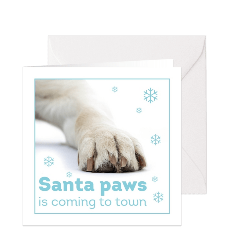 KNGF kerstkaart Santa paws - Kaartimpressie