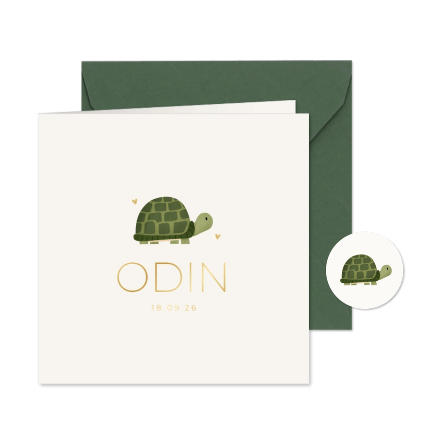 Kraftlook geboortekaartje minimalistisch met schildpad - Kaartimpressie