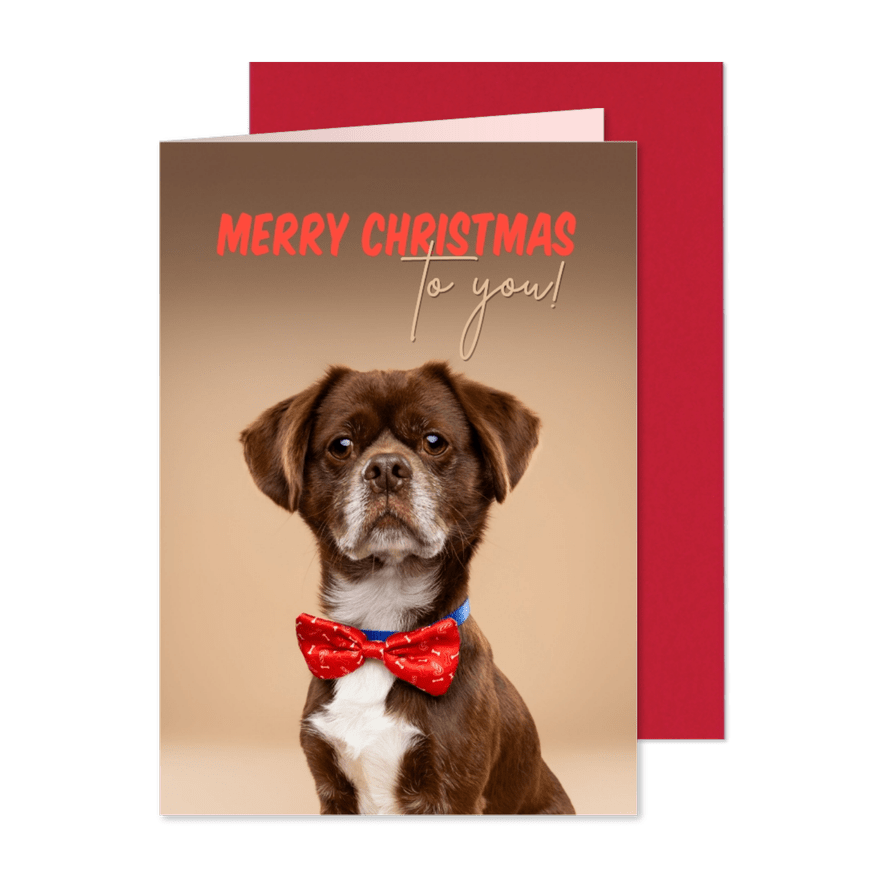 Leuke kerstkaart van hondje met kerststrik - Kaartimpressie