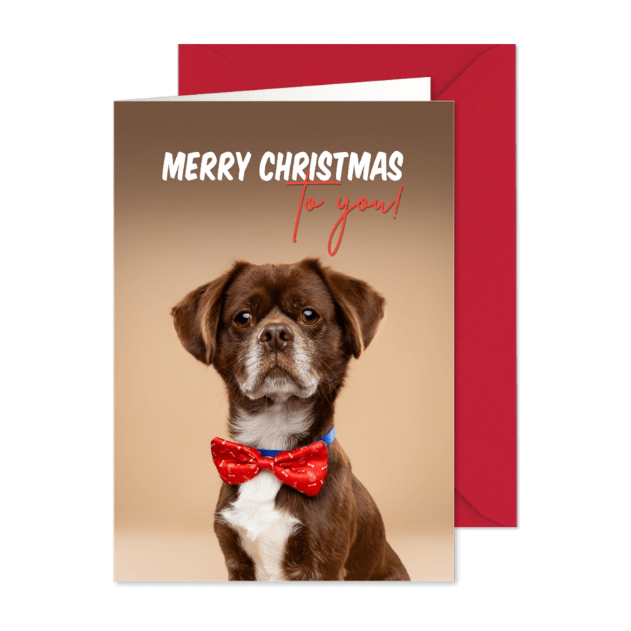 Leuke kerstkaart van hondje met kerststrik - Kaartimpressie