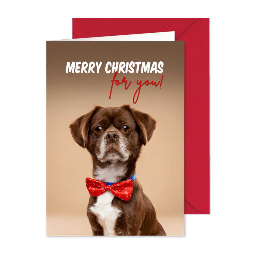 Leuke kerstkaart van hondje met kerststrik - Kaartimpressie