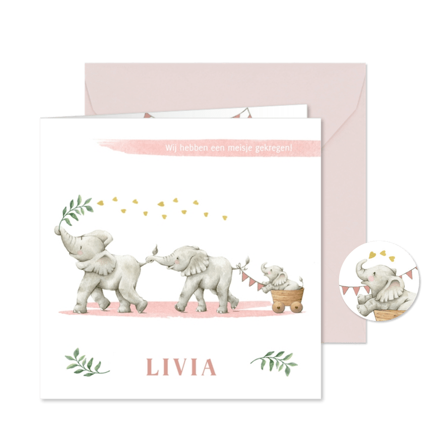 Lief en vrolijk geboortekaartje meisje met olifantjes - Kaartimpressie