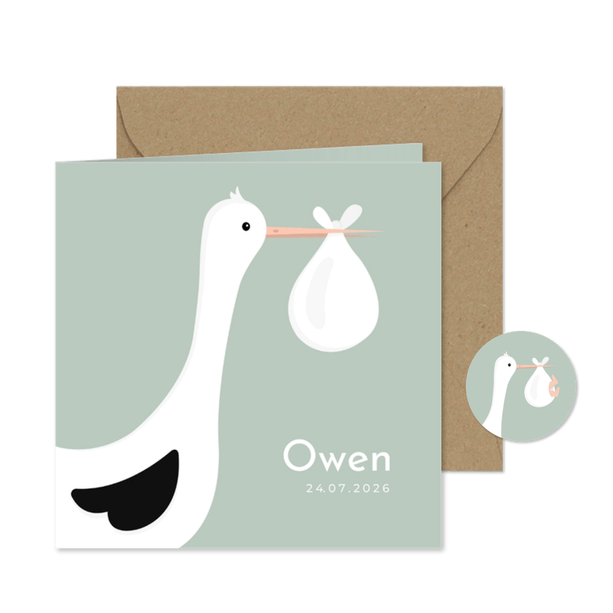Lief geboortekaartje met ooievaar en baby jongen  - Kaartimpressie