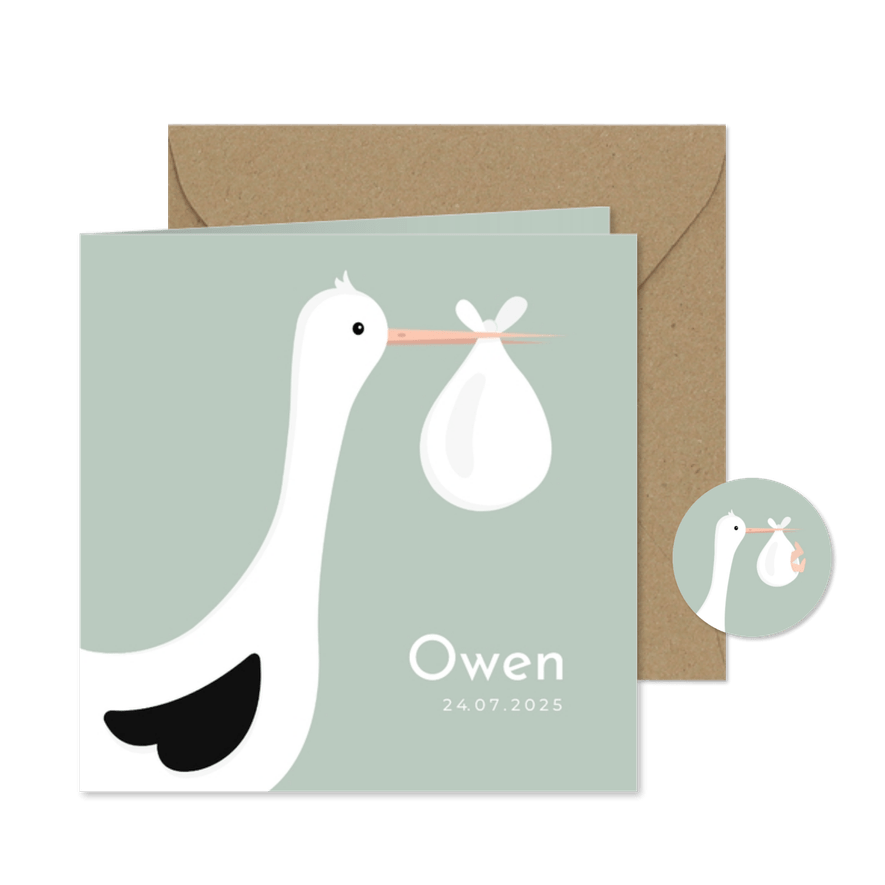 Lief geboortekaartje met ooievaar en baby jongen  - Kaartimpressie