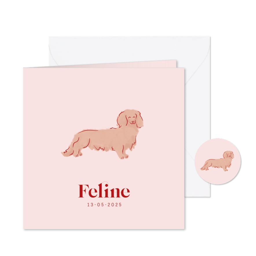 Lief geboortekaartje met teckel hondje in roze - Kaartimpressie