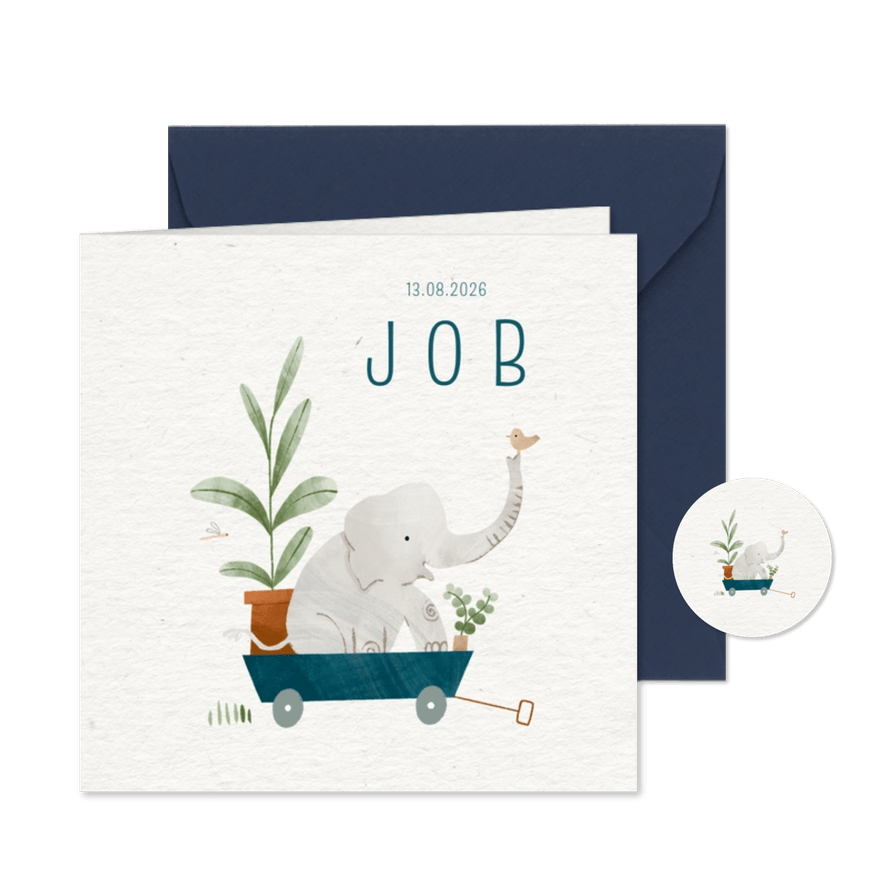 Lief geboortekaartje olifantje blauwe bolderkar plantjes - Kaartimpressie
