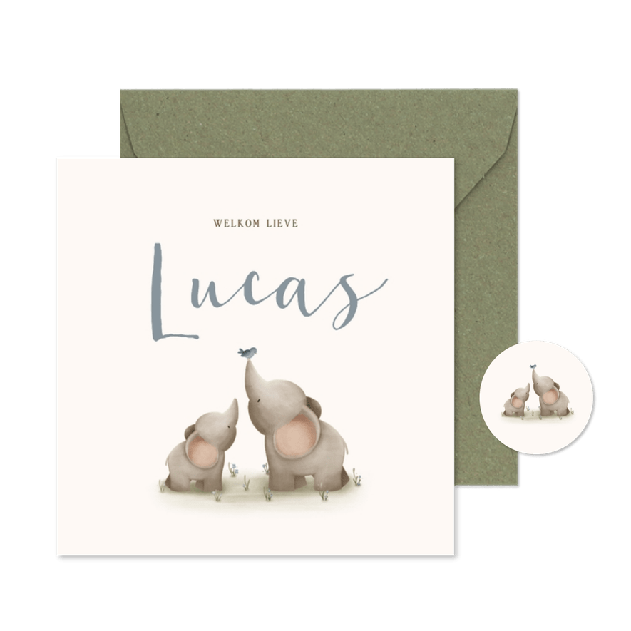 Lief geboortekaartje voor een jongen met twee olifantjes - Kaartimpressie