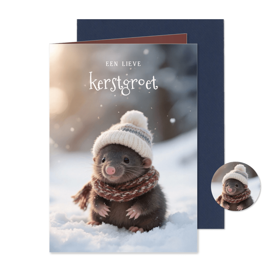 Lief kerstkaartje met schattig molletje lieve kerstgroet - Kaartimpressie