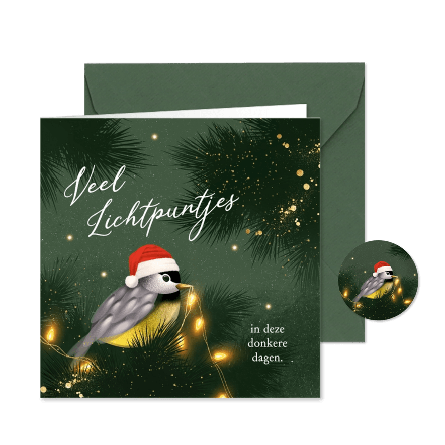 Lief kerstkaartje met vogeltje en lichtpuntjes - Kaartimpressie