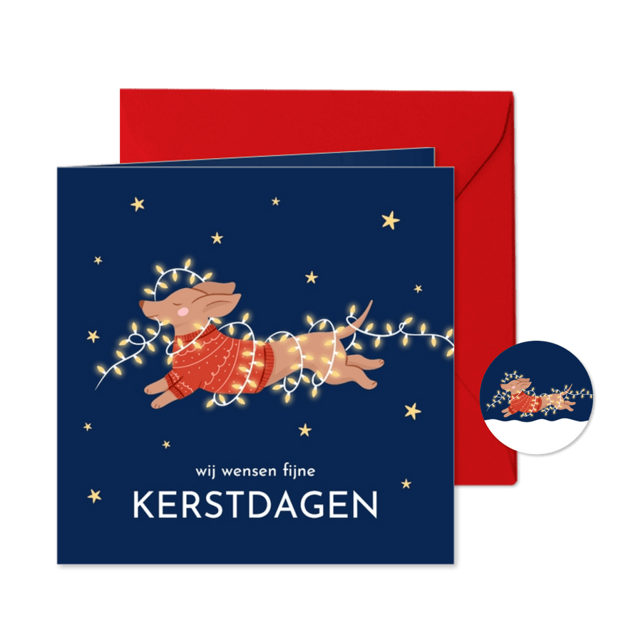 Lieve blauwe kerstkaartjes met teckel lichtjes en sterren - Kaartimpressie