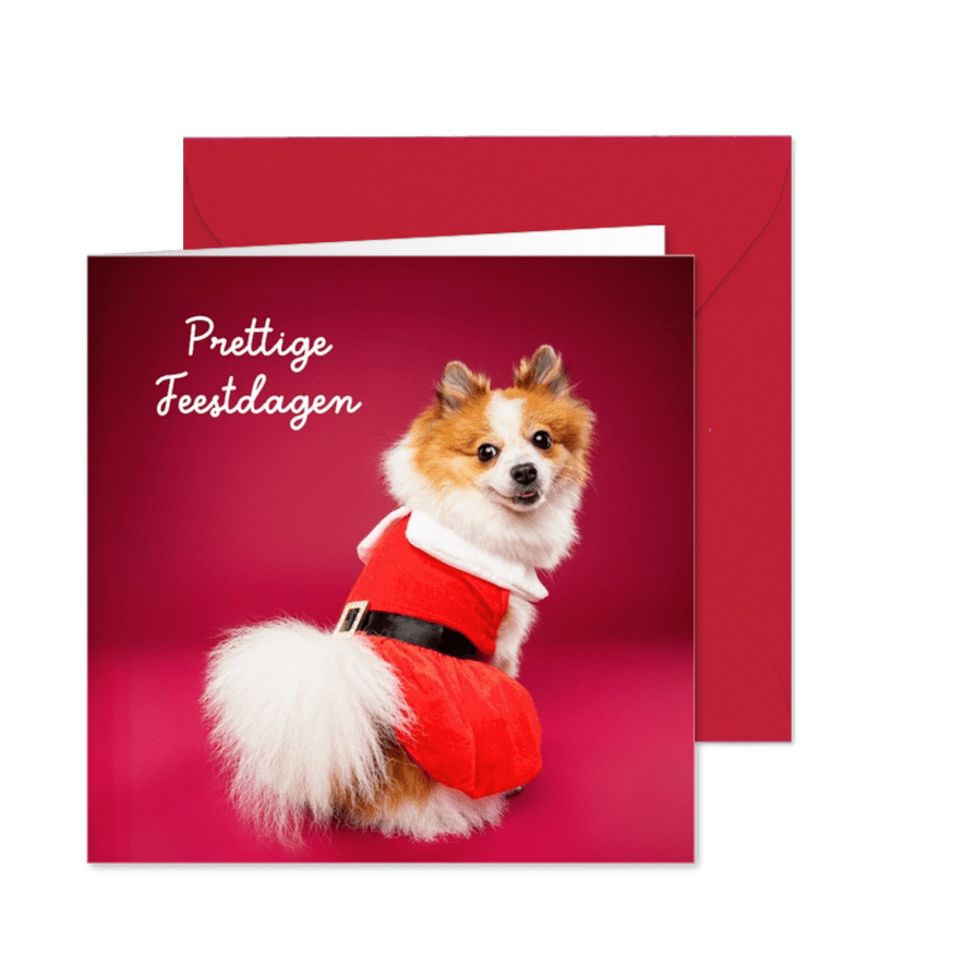 Lieve, grappige kerstkaart van hondje met kerstpakje - Kaartimpressie