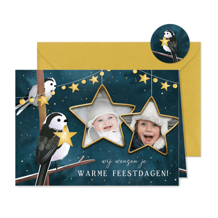 Lieve kerstkaart met 2 vogels met lampjes en eigen foto's - Kaartimpressie