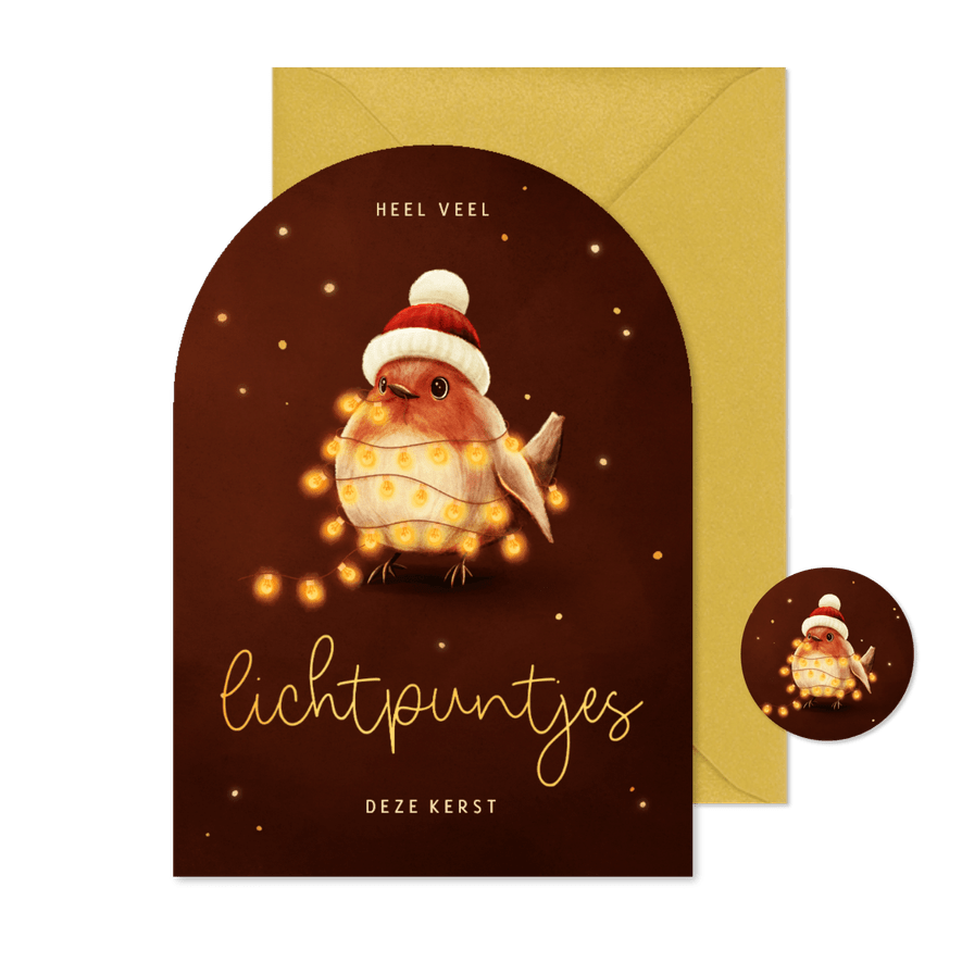 Lieve kerstkaart roodborstje lichtpuntjes voor jou - Kaartimpressie