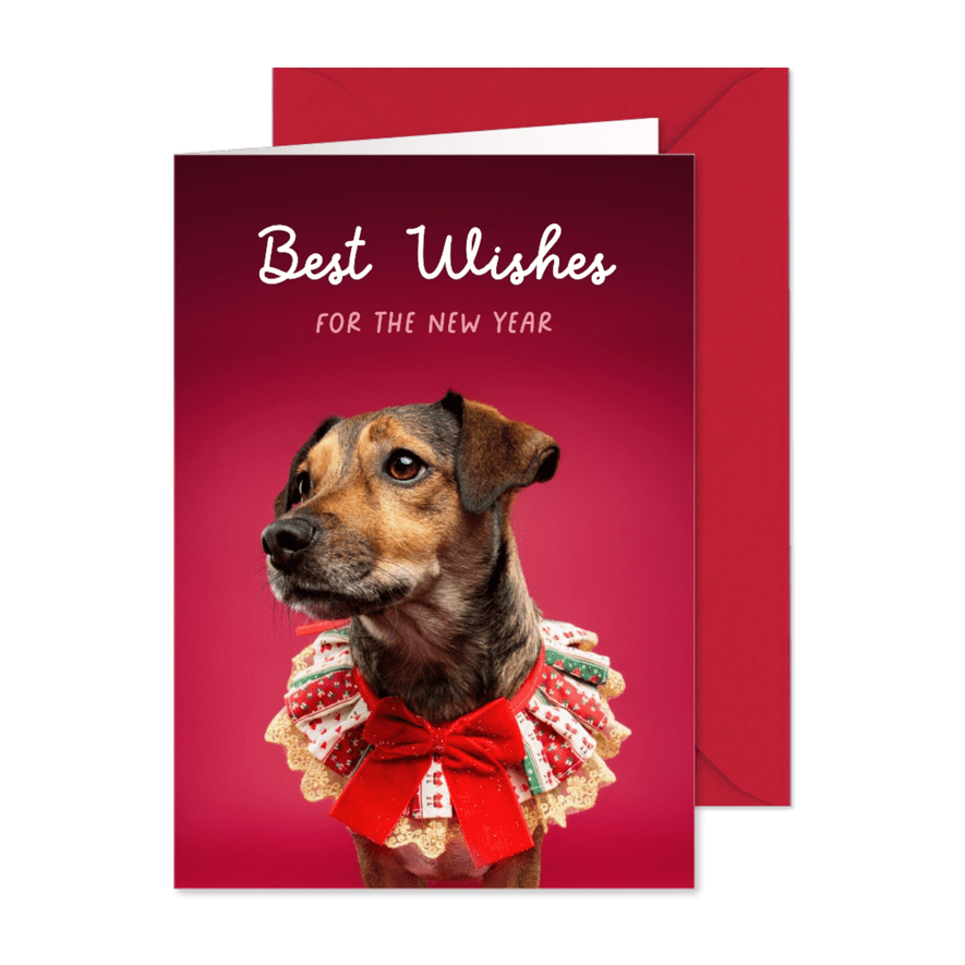 Lieve kerstkaart van hondje met kerstkraagje aan - Kaartimpressie