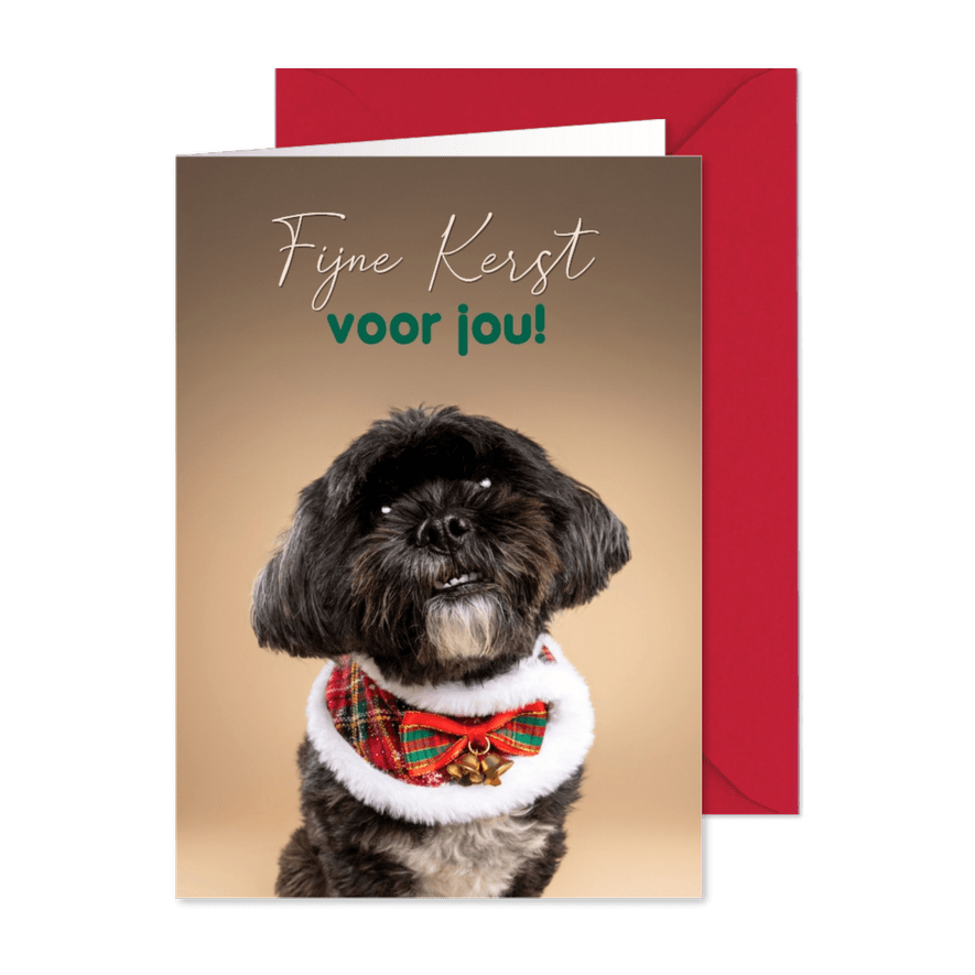 Lieve schattige kerstkaart boomer hondje met kerstsjaal - Kaartimpressie