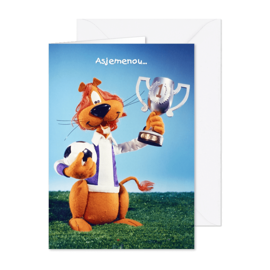Loeki de Leeuw voetbal kampioen - Kaartimpressie