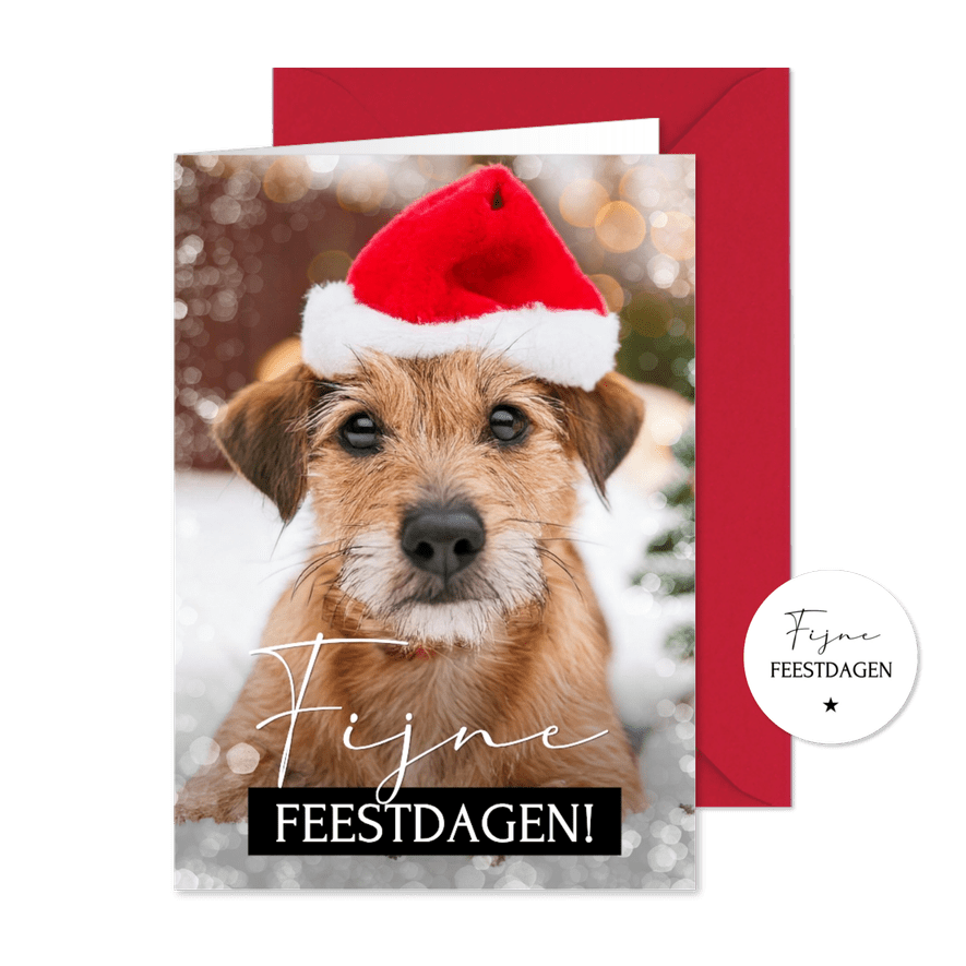 Moderne kerstkaart met grote eigen foto huisdier - Kaartimpressie