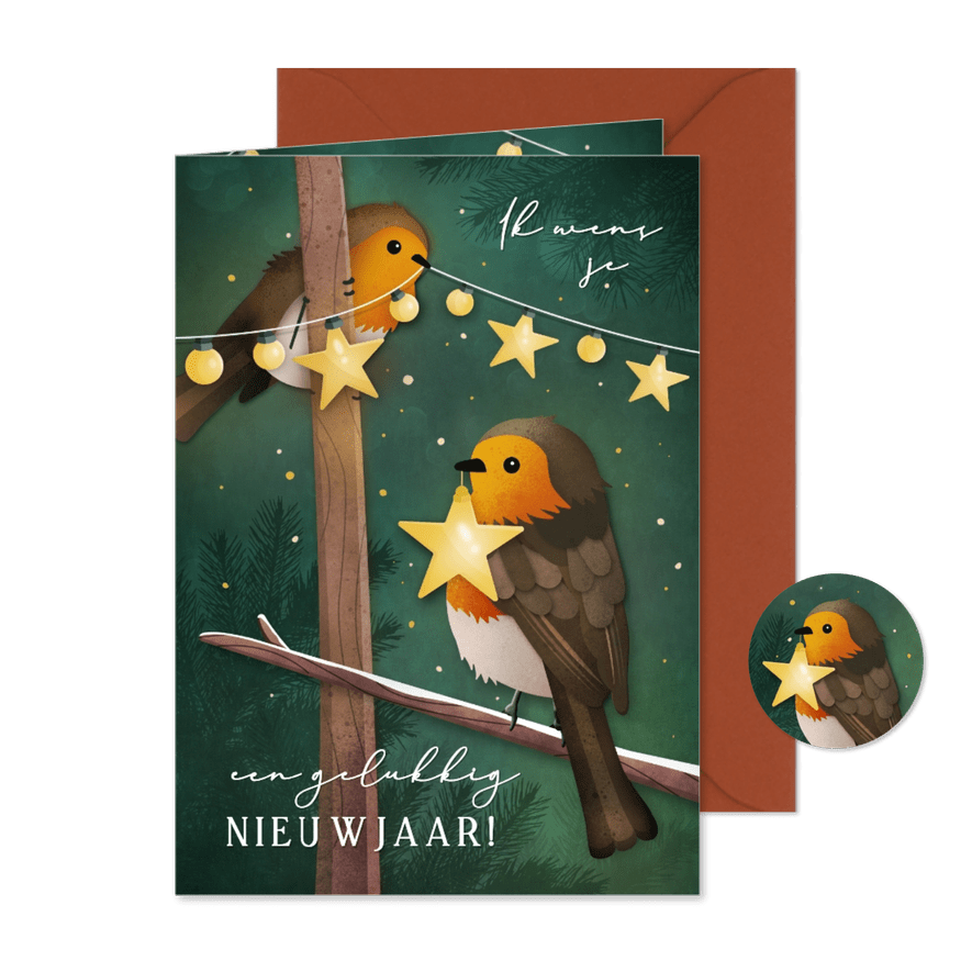 Nieuwjaarskaart met roodborstjes en lampjes - Kaartimpressie