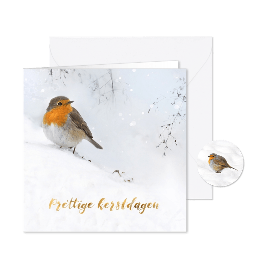 Roodborst in de sneeuw - Kaartimpressie