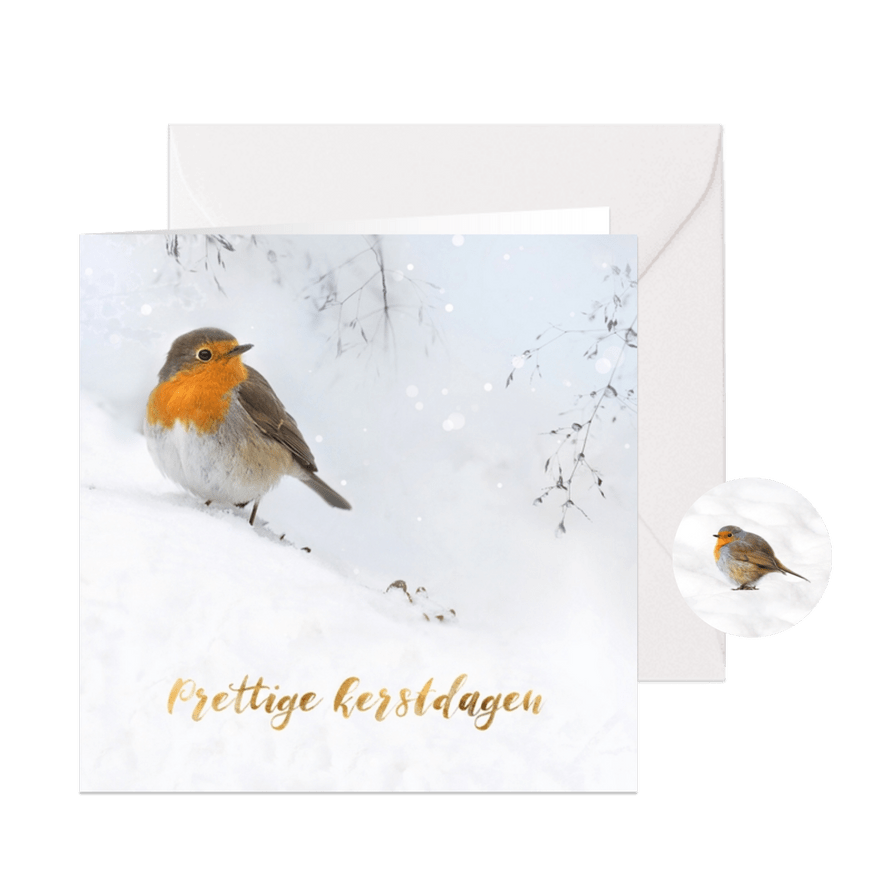 Roodborst in de sneeuw - Kaartimpressie