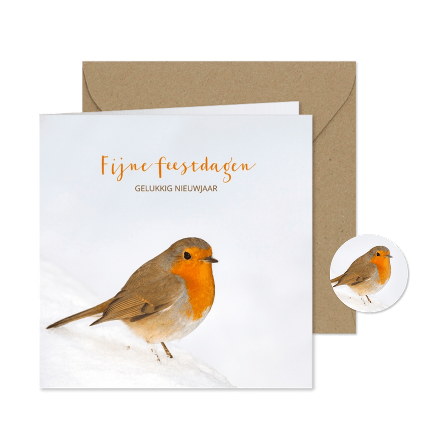 Roodborst op winterse dag - Kaartimpressie