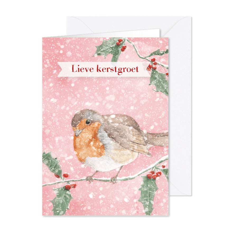 Roodborstjes hulsttak - Kaartimpressie