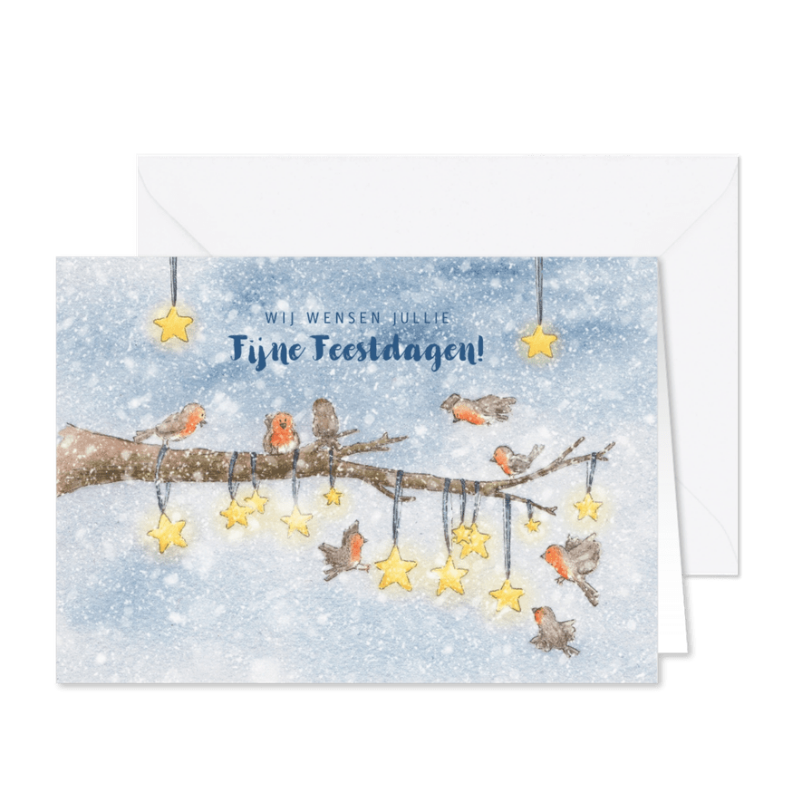 Roodborstjes op een tak kerstkaart - Kaartimpressie