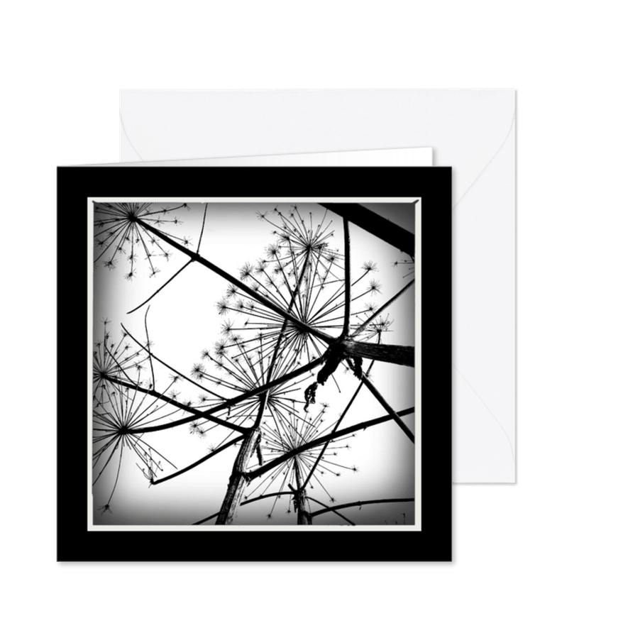 Rouwkaart berenklauwen - lb - Kaartimpressie