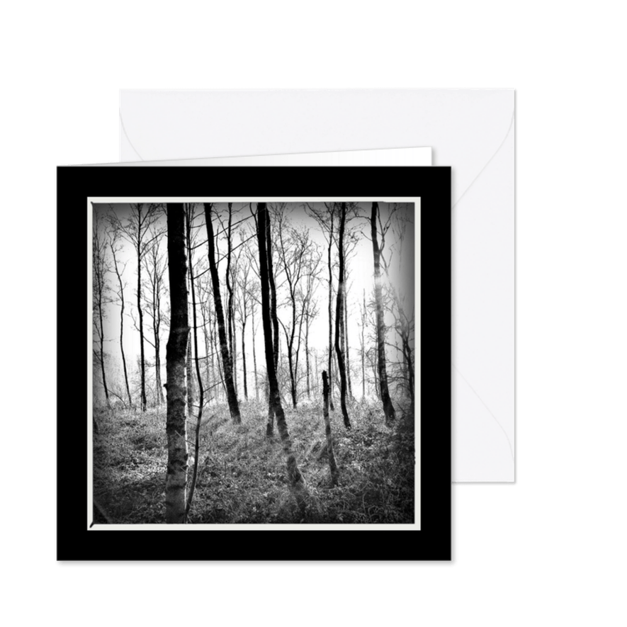 Rouwkaart bomen - lb - Kaartimpressie