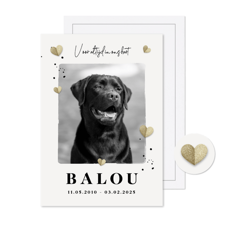 Rouwkaart hond hartjes foto stijlvol - Kaartimpressie