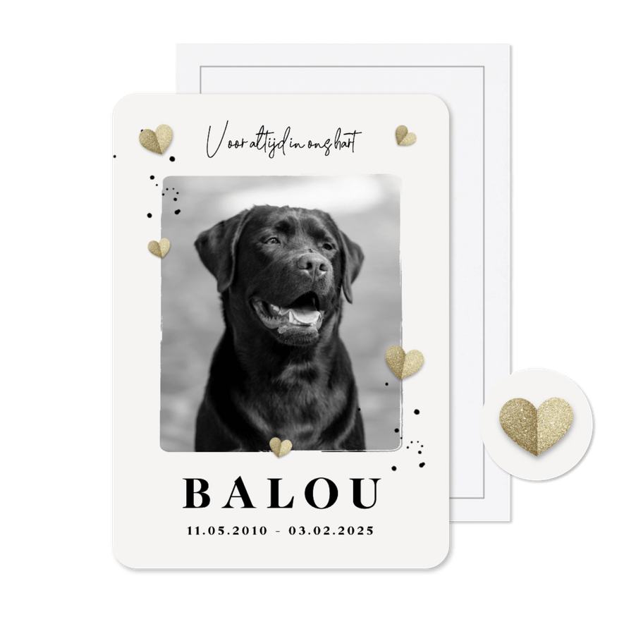 Rouwkaart hond hartjes foto stijlvol - Kaartimpressie