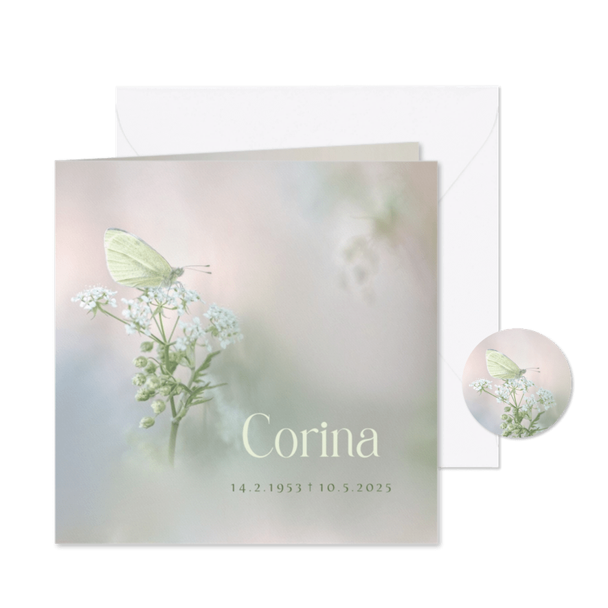 Rouwkaart koolwitje op fluitenkruid - Kaartimpressie