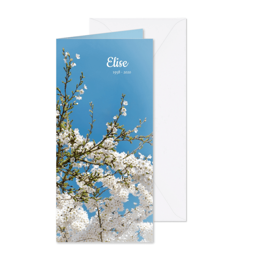 Rouwkaart lente bloesem - Kaartimpressie