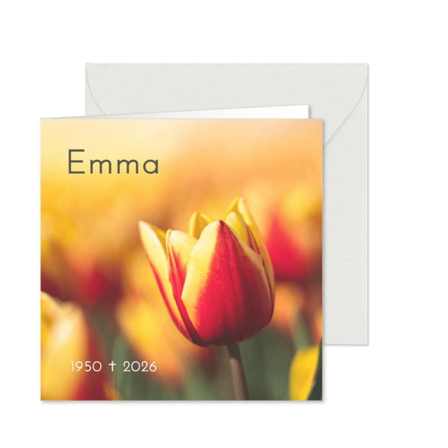Rouwkaart met rood-gele tulp - Kaartimpressie